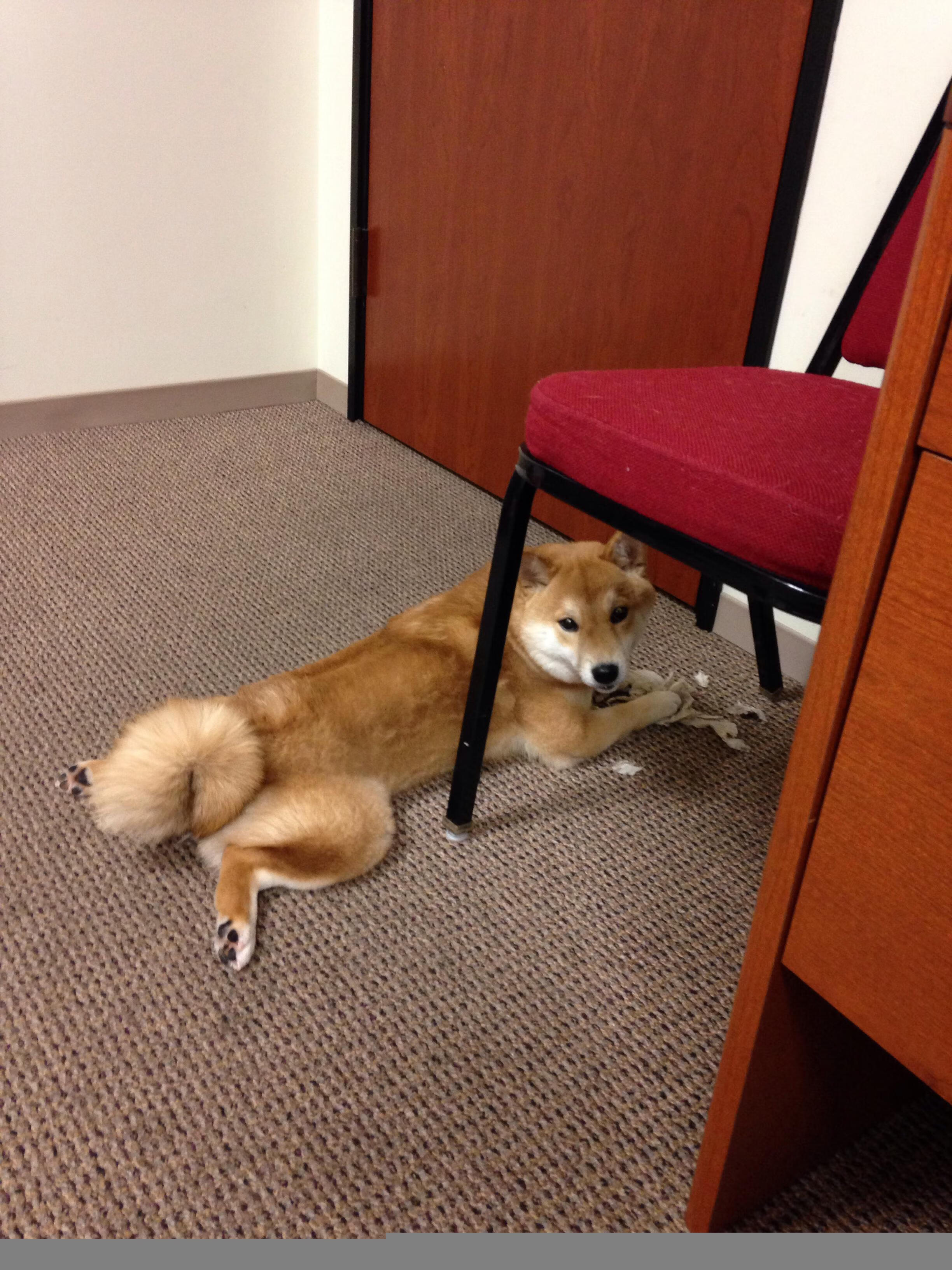 加雷斯·索斯盖特在欧洲杯后辞去主教练职务，结束八年执教生涯