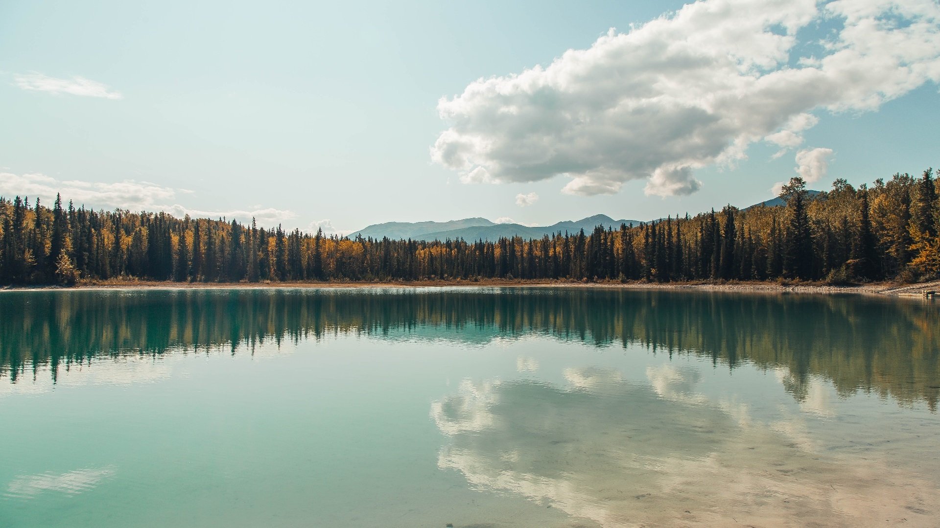 历史经典：二十年来最经典的比赛瞬间，历史类的比赛