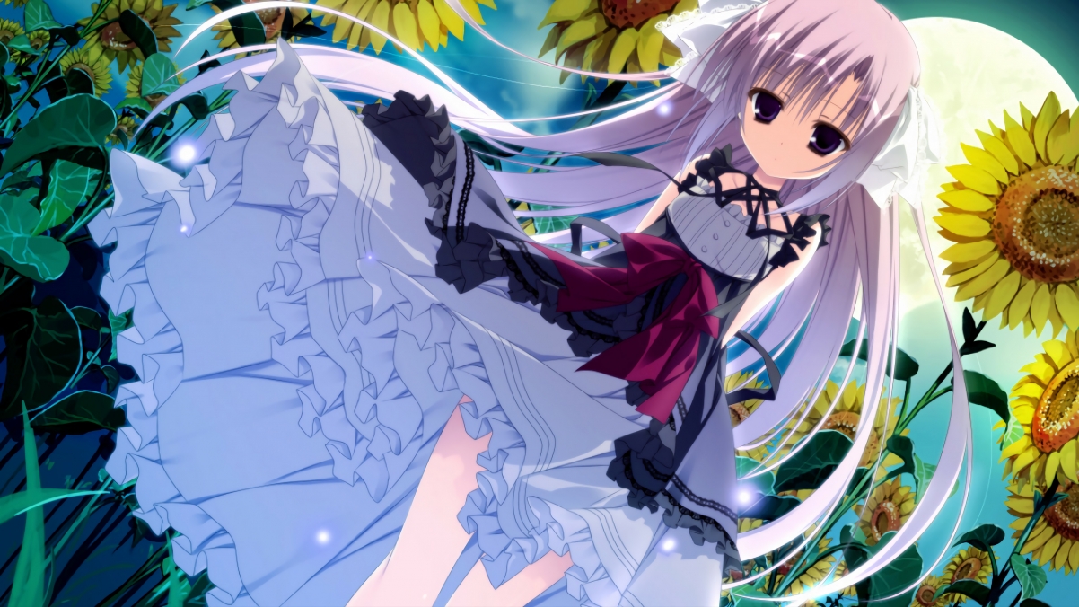 Kering-国际武术表演比赛，传统文化展现新魅力，2019国际武术竞赛规则